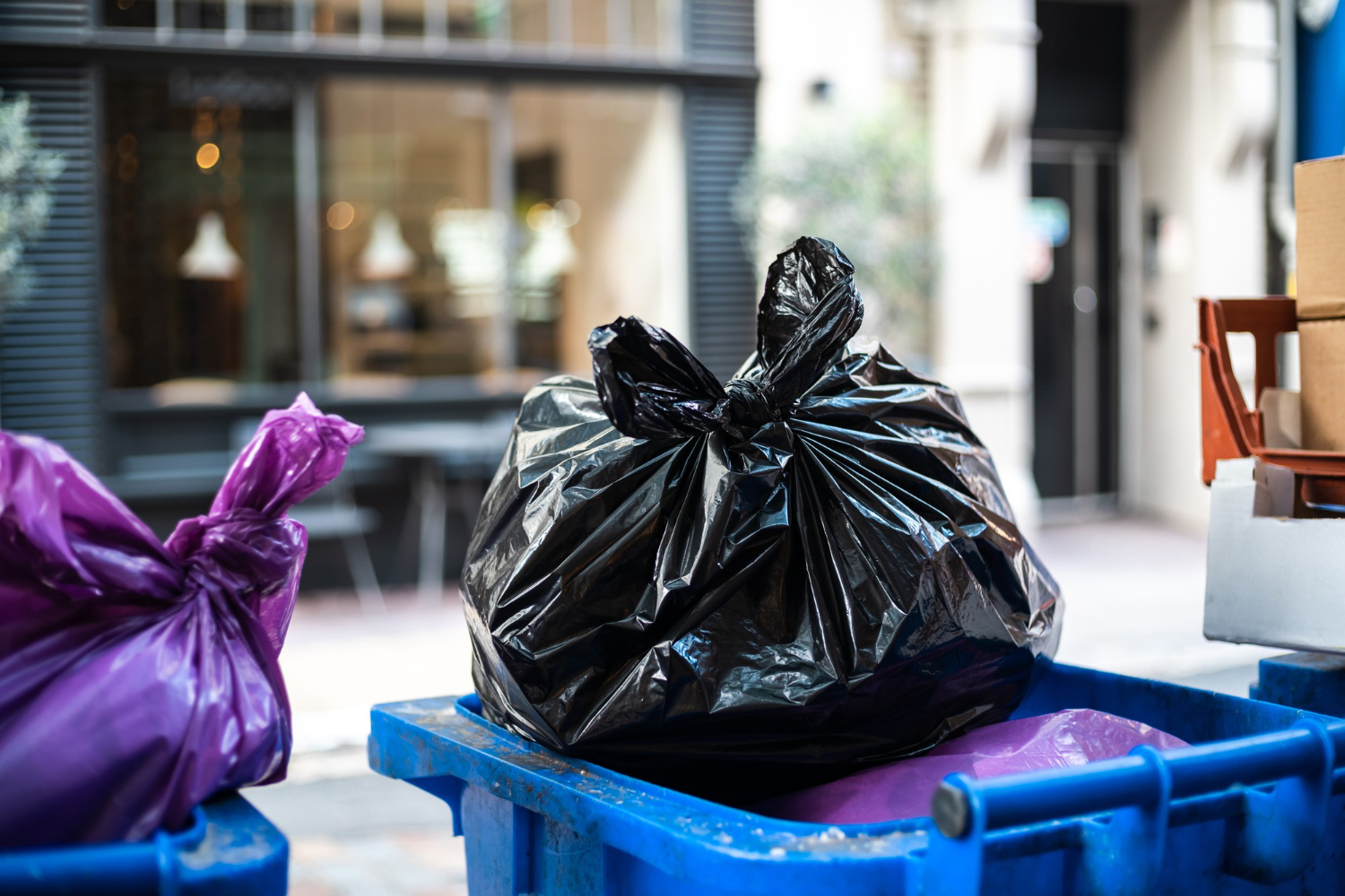 Bin Cleaning